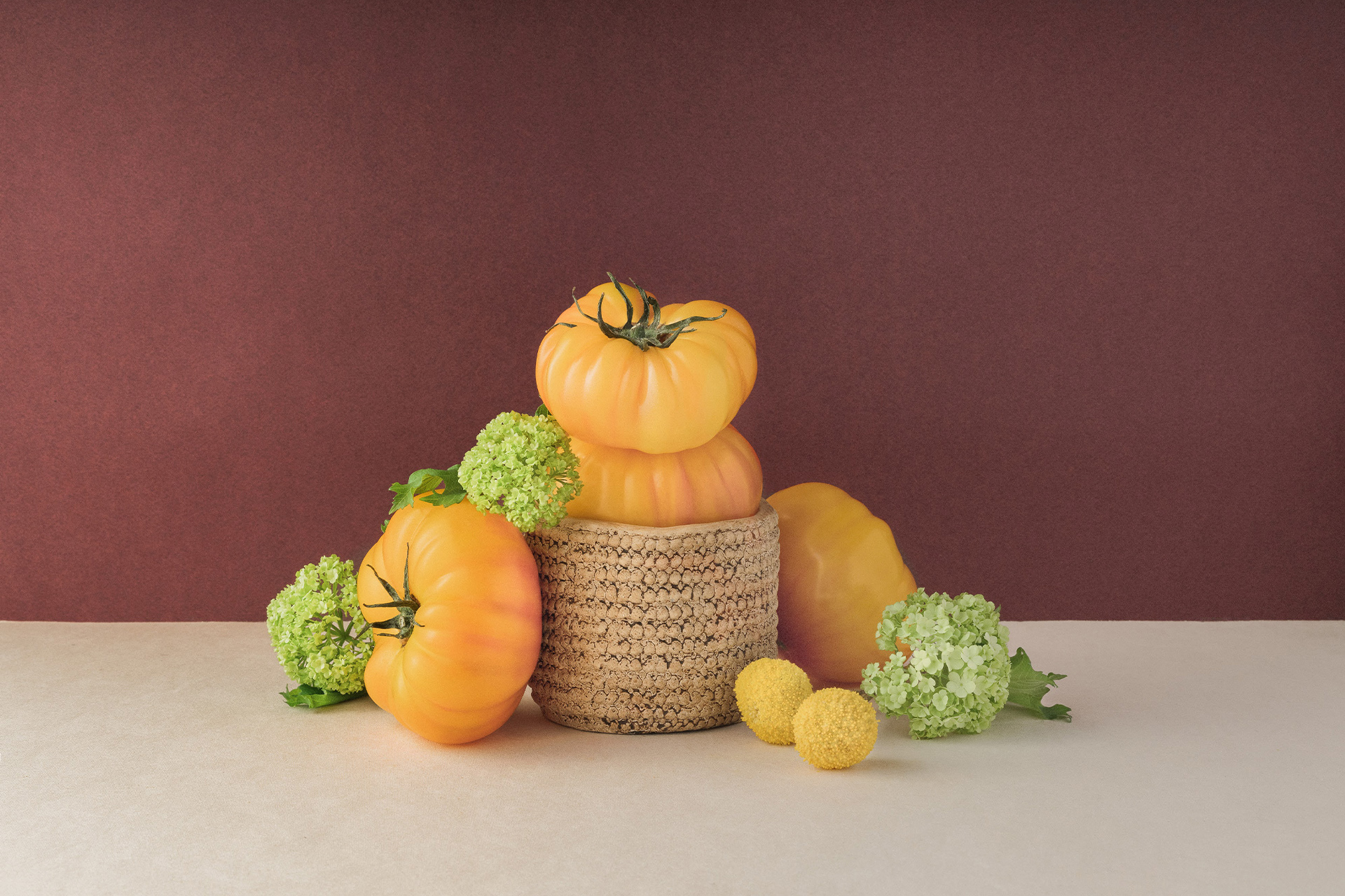 Polene-tomates anciennes-primeur-agence s